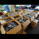 Getrockneter, gesalzener Fisch